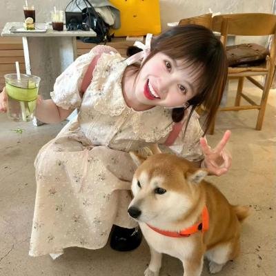 爱情领域2
